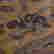 item-131523965=4