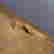 item-131524003=7