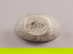 item-210026036=5