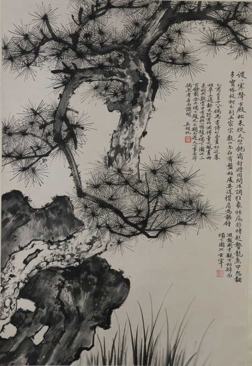 Chinese Pine Tree Pain...