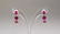Ruby 6.0 ct & Diamond 0.17 ct Earrings $2950