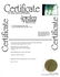 14K Gold Emerald (3.0 ct) Earrings Appraised $3650 - 3
