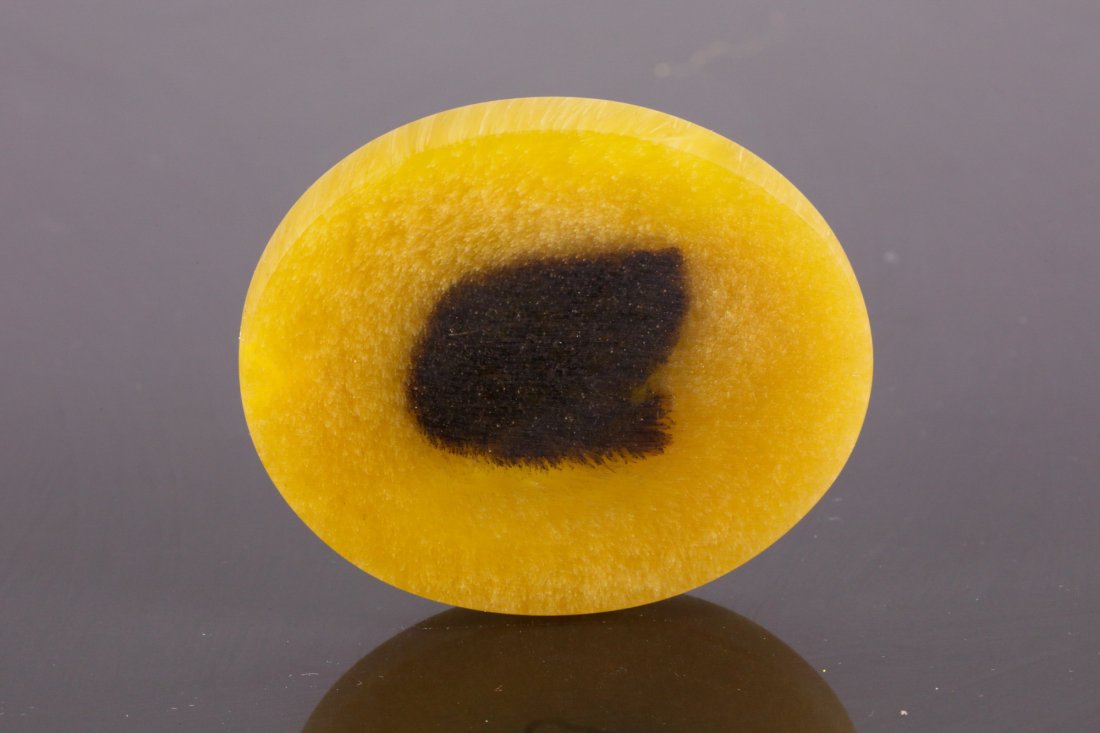 Chinese Horn Pendant: Chinese horn pendant; of oval shape; featuring cross section of a horn; comprised of a honey yellow outer section and a dark brown inner section; pierced for suspension; H: 1.5 cm, D: 7 cm, 56 grams