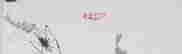 item-37706054=3