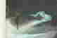 item-41302919=2