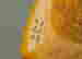 item-44871205=4