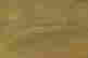 item-48685156=5