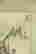item-48685204=3