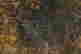 item-48685519=6