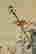 item-49210323=4
