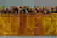 item-49210376=4