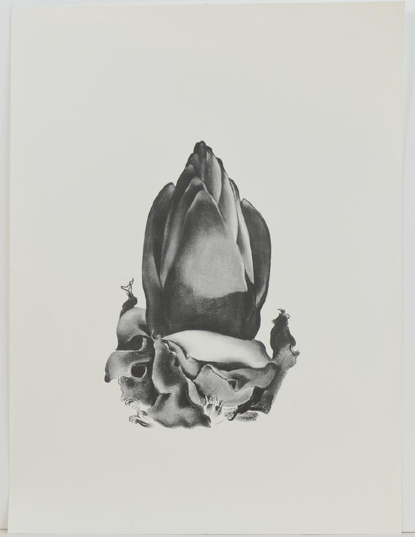 Lithograph from Georgia O'Keeffe Drawings 1968 (1 of 2)