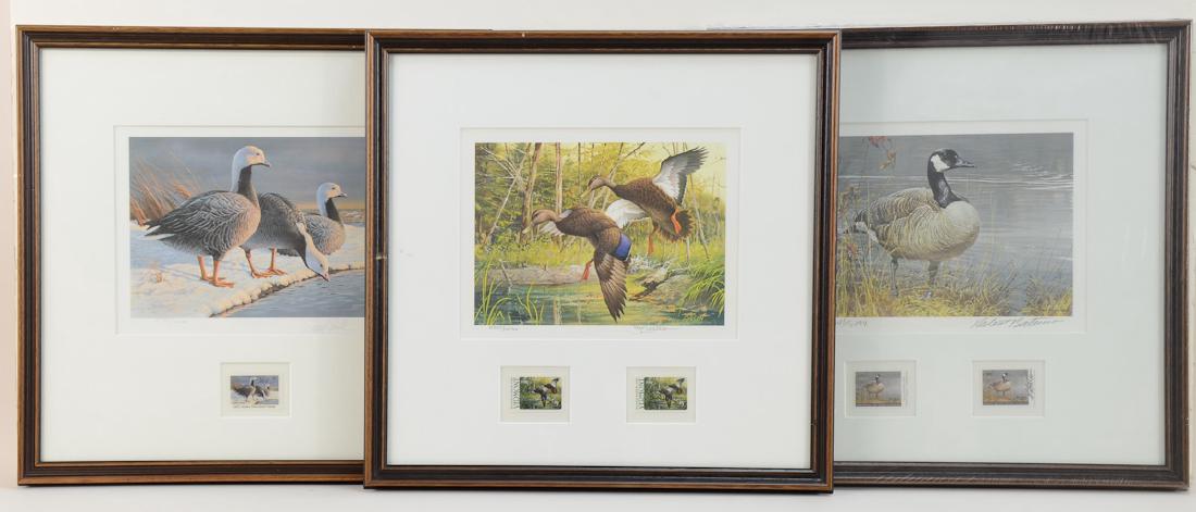 5 Waterfowl Prints (1 of 2)