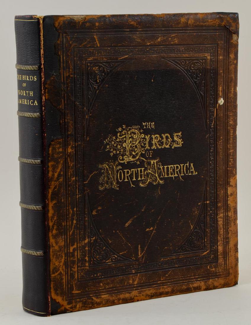 Birds of North America (1 of 5)