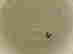 item-58473266=3