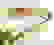 item-58473430=2