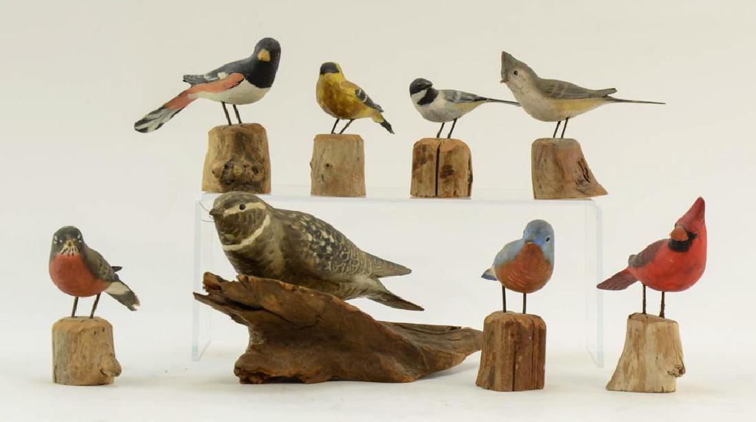 8 Peter Peltz Birds (1 of 9)