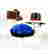 item-70161772=2