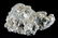 Blue Beryl Natural Aquamarine in Muscovite - 4