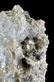 Blue Beryl Natural Aquamarine in Muscovite - 6