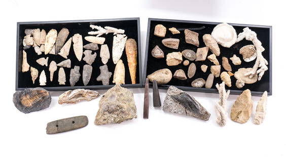 Estate Found Fossils, Arrowheads, Coral: Fresh from a local CT Estate, Group includes Native American Arrow Heads, Spear Points, Fossils, Geode, Coral, and found stone objects. Origin unknown, but some may have been collected in the American