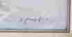 item-118265123=2