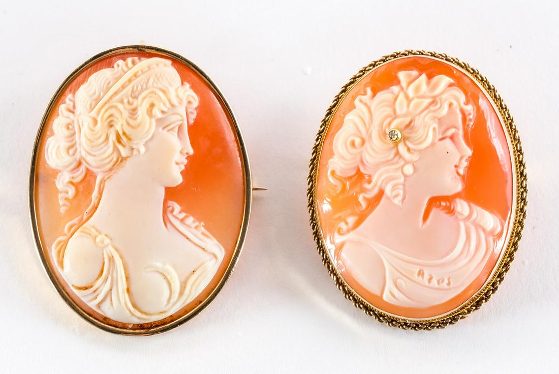 Two Shell Cameos w/ 14K Gold Frames (1 of 4)