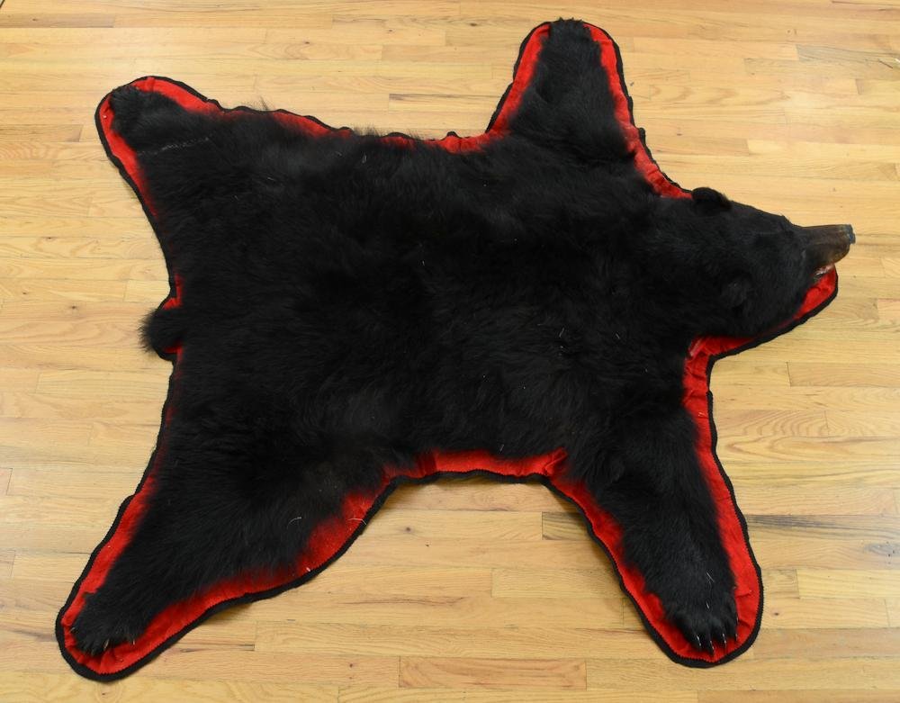 Taxidermy Black Bear Skin Rug: Second Half 20th Century. 74" x 67" full skull mount, with claws, on felt wool base. Mouth interior is plastic insert. Good Condition.