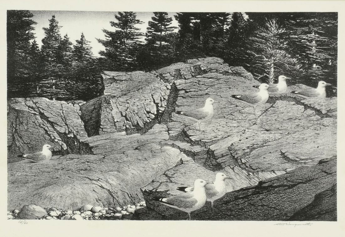 Stow Wengenroth Lithograph: Seagulls (1 of 6)
