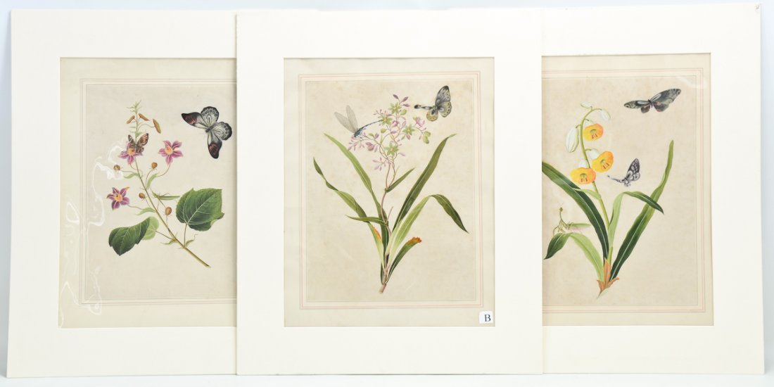 Three Chinese Botanical Watercolors (1 of 5)