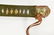 Japanese Samurai Sword - 6