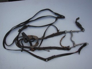 Horse harness, WW 1 US Army: Horse bridle, WW 1 US Army