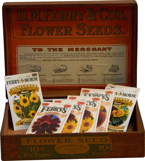 Early Country Store D.M. Ferry & Co. Flower Seeds Oak S: Early Country Store D.M. Ferry & Co. Flower Seeds Oak Seed Box w/ D.M. Ferrys seed packets, in good original condition w/ original decals inside & outside - 12" x 8" x 4"h