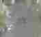 item-112742124=5
