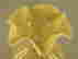 item-112742135=2