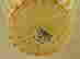 item-112742135=4