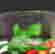 item-112742145=4