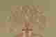 item-112742149=6