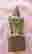 item-112742162=8