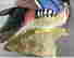 item-112742166=5