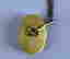 item-131520181=2