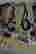 item-136429664=3