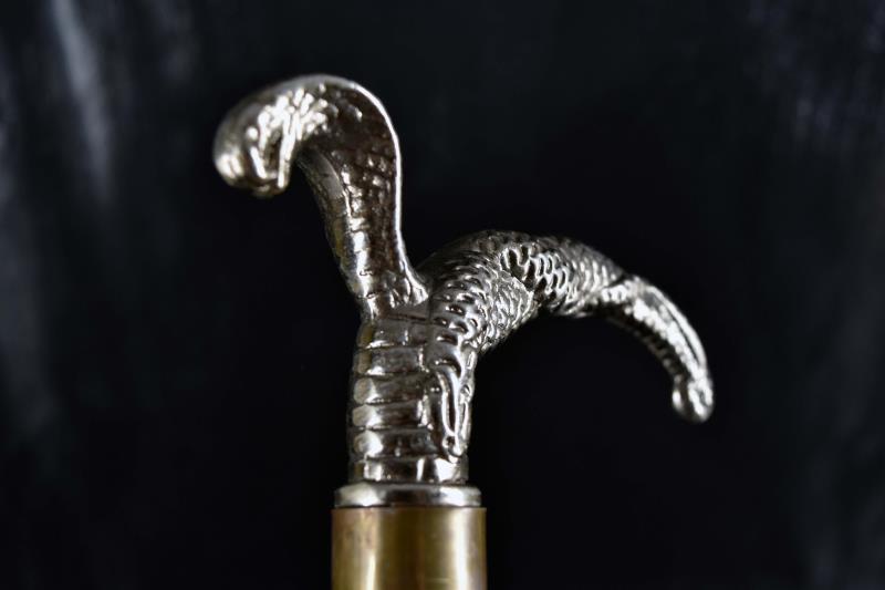 Cobra Head And Body Cane Sword (1 of 4)
