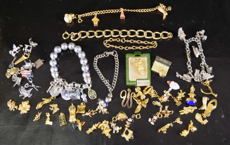 Group Of Charms And Charm Bracelets (1 of 6)