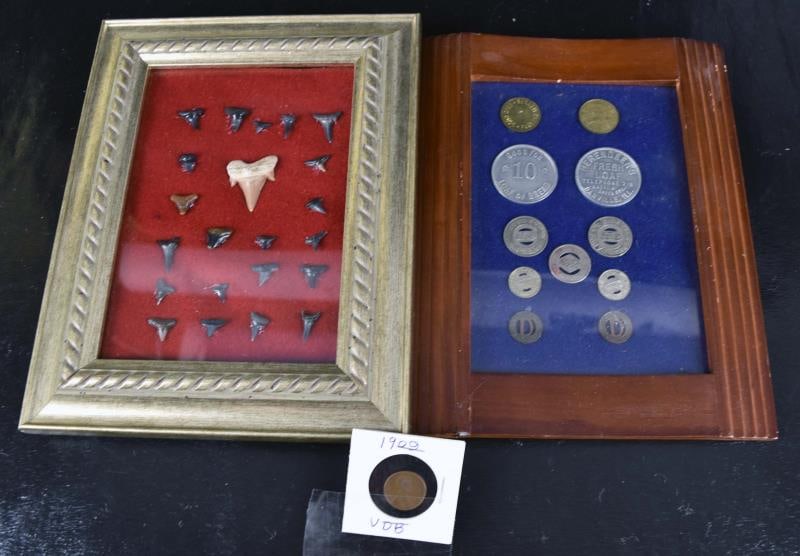 1909 Vdb Penny & Framed Bus Tokens: Featuring A 1909 Vdb Penny Along With A Framed Danville Illinois Advertising Tokens And A Framed Shark Tooth Display.