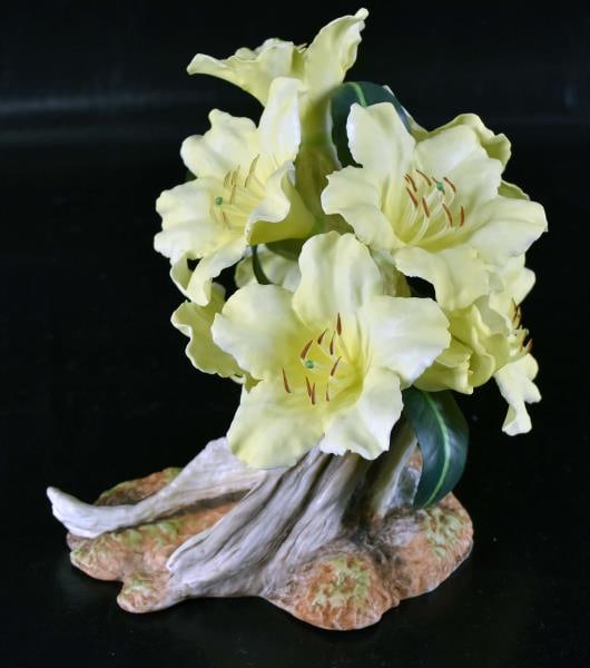 Boehm Porcelain Rhododendron: Featuring A Limited Edition #72 Yellow Rhododendron Measuring 6 3/4" Tall X 7" Wide. Condition Is Good With No Chips, Nicks Or Cracks.