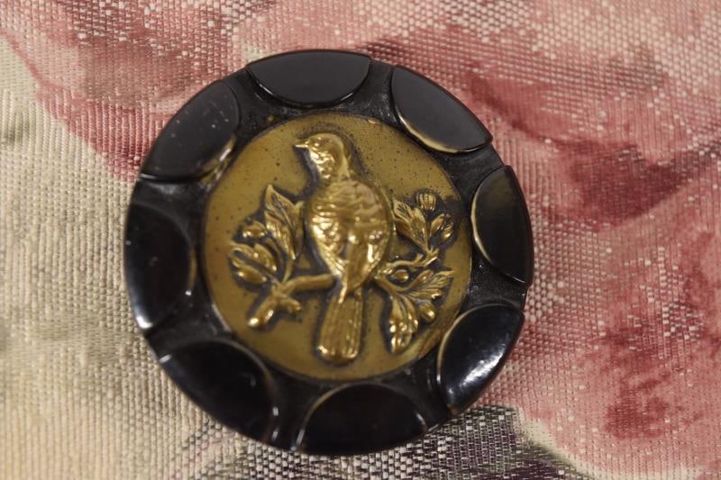 Brass Bird On Branch Celluloid Button (1 of 2)