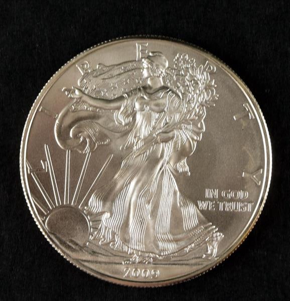 2009 Uncirculated American Eagle Fine Silver Coin (1 of 2)