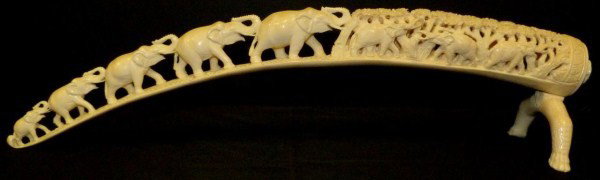 CHINESE HAND CARVED ELEPHANTS TUSK w FOREST: Depicts a family of elephants leading up to a forest scene with carved elephants. Has attached elephant feet stand. Has figural floral ivory plug to end. Mid to early 20th century. Measures 4 1/2" hei