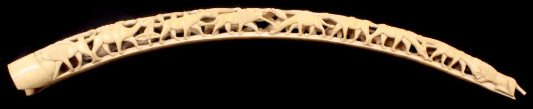 AFRICAN HAND CARVED ELEPHANT TUSK OF ANIMALS: Antique fully relief carved African elephant ivory tusk. Has a design throughout depicting deer, lions, fish, alligators and snakes. Measures 31" length (78.7cm).